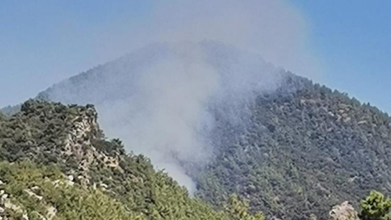 Adana ve Muğla’da orman yangını