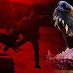 Sokak köpeği sorunu nasıl çözülür? Hollanda modeli mercek altında