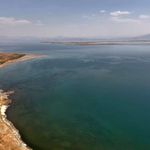 Van Gölü kıyısında dikkat çeken yeşil görüntü