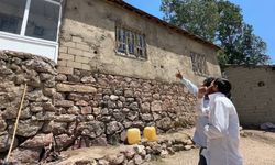 Yüksekova’da yılan kabusu: Eve giren yılanlar aileyi canından bezdiriyor