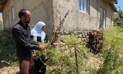Bir ineğini kaybetti, dayanışmayla 12 büyükbaş hayvana kavuştu