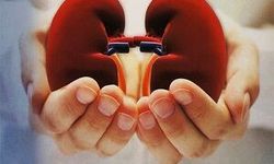 Böbrek hastalıkları yaş seçmiyor! Uzmanlardan önemli uyarılar