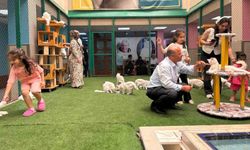 Van Kedi Villası Yaz Tatilinde Ziyaretçi Akınına Uğruyor