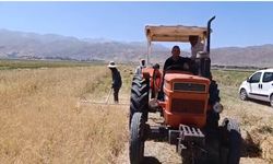 Hasat sezonu başladı: Çiftçiler kavurucu sıcakta tarlada