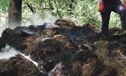 Hakkâri’de yangın paniği: 400 balya ot kül oldu