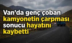 Van'da genç çoban kamyonetin çarpması sonucu yaşamını yitirdi