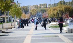 Van YYÜ’de kontenjanlar doldu mu? 2026 YSK’de 4 bin 392 öğrenci yerleşti