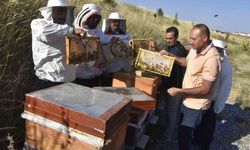 Bitlis Eren Üniversitesi’nden Bal Üretiminde Önemli Başarı