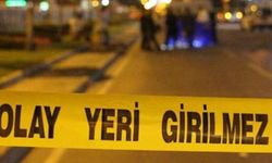 Erciş’te şüpheli ölüm: Samanlıkta hayatını kaybetti