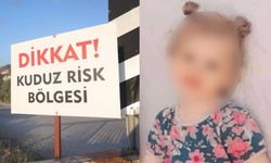 Kuduz kedi tarafından ısırılan çocuk hayatını kaybetti