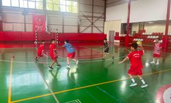 Van’da Yaz Spor Okulları sona erdi: 1250 çocuk ve genç sporla buluştu