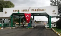 Van Erciş Şeker Fabrikası daimi işçi alacak