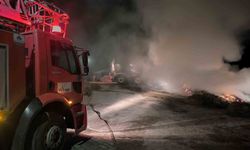 Van’da korkutan yangın 5 saatte kontrol altına alındı