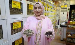 Kışın şifası bitki çaylarına yoğun ilgi