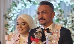 Damada altın değil, köpek taktı