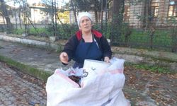 34 yıldır sonbaharda düşen yaprakları gübreye dönüştürüyor