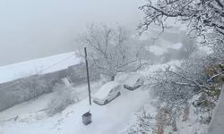 Van’ın Bahçesaray ilçesi beyaza büründü