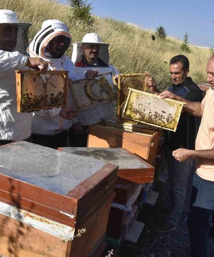 Bitlis Eren Üniversitesi’nden Bal Üretiminde Önemli Başarı