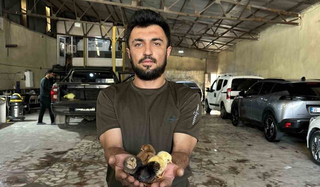 Hakkari genç bir belgesel izledi, hayatı değişti: Bir azmin hikayesi