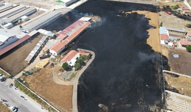 Anız yangınları toprağa ve canlılara zarar veriyor: Uzmanlardan kritik uyarı