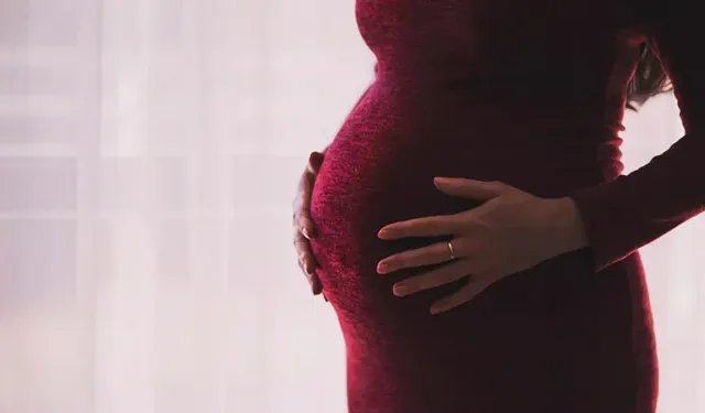 Gebelikte seyahat edecek anne adaylarına önemli tavsiyeler