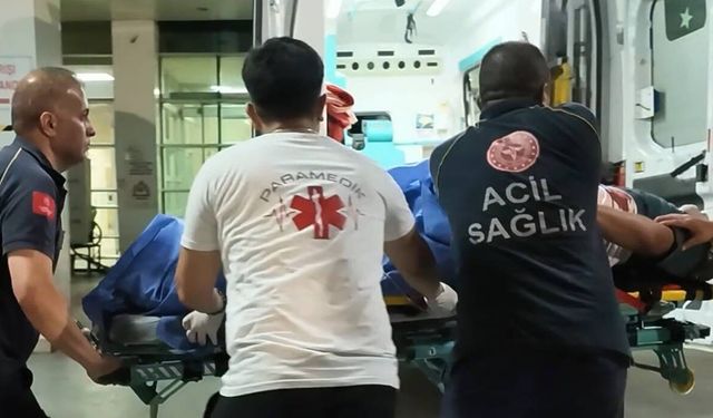 Yola araç park etti, av tüfeğiyle vuruldu