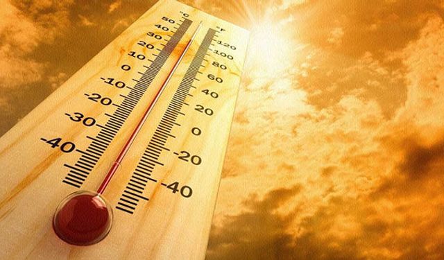 Dikkat: Aşırı sıcaklar beyin fonksiyonlarını olumsuz etkiliyor!