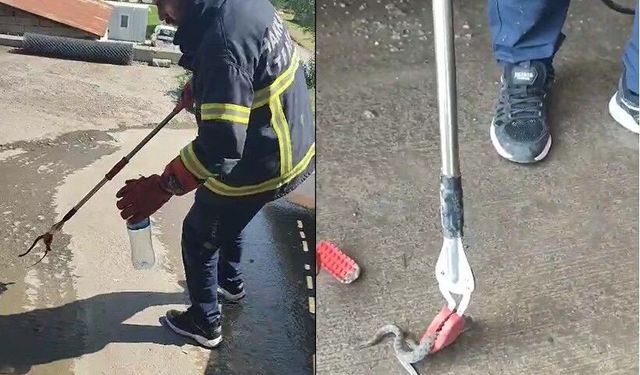 Hakkari'de araç motoruna giren yılan doğal yaşam alanına bırakıldı