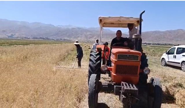 Hasat sezonu başladı: Çiftçiler kavurucu sıcakta tarlada