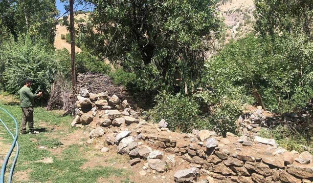 Hakkari’de harabeye dönen türbe için yardım çağrısı