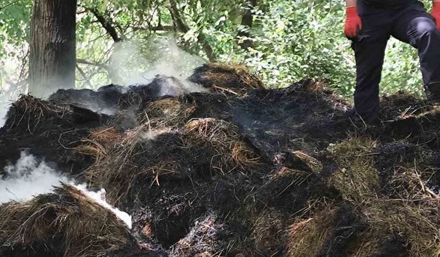 Hakkâri’de yangın paniği: 400 balya ot kül oldu