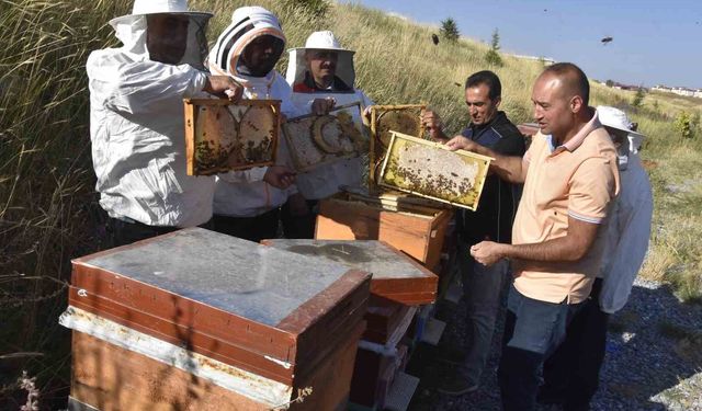 Bitlis Eren Üniversitesi’nden Bal Üretiminde Önemli Başarı