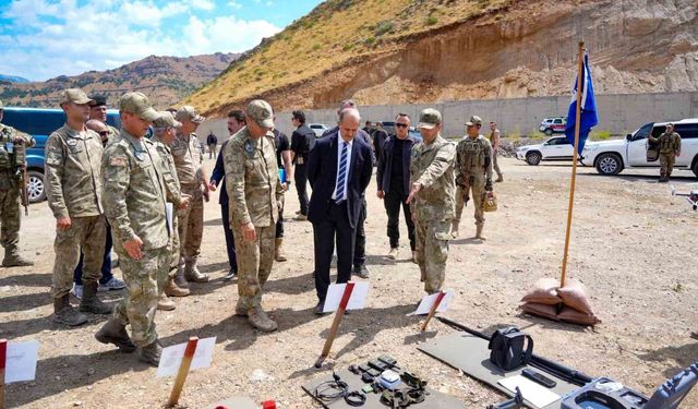 Hakkari'de mayınlı bölgeler temizleniyor