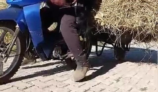Taşıma Aracı Bulamadı, Bakın Ne Yaptı!