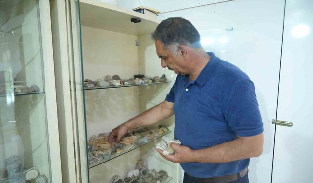 Çobanlık yaparken başladı, 40 yıldır taş topluyor