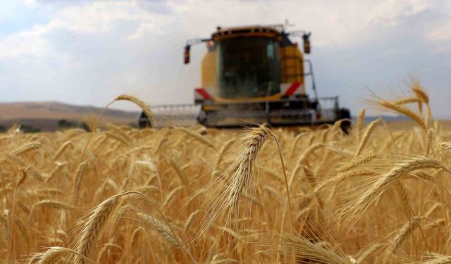 Vanlı çiftçiler, bu tarihi kaçırmayın! ÇKS başvuruları başlıyor