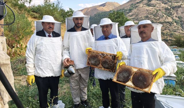 Çatak’ta 2 bin 700 rakımda bal mesaisi başladı