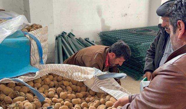 Çataklı Çiftçilere Patates Tohumu Desteği!