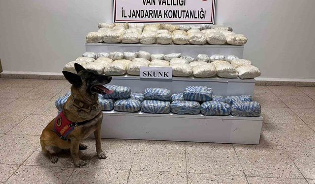 Van'da uyuşturucu operasyonu