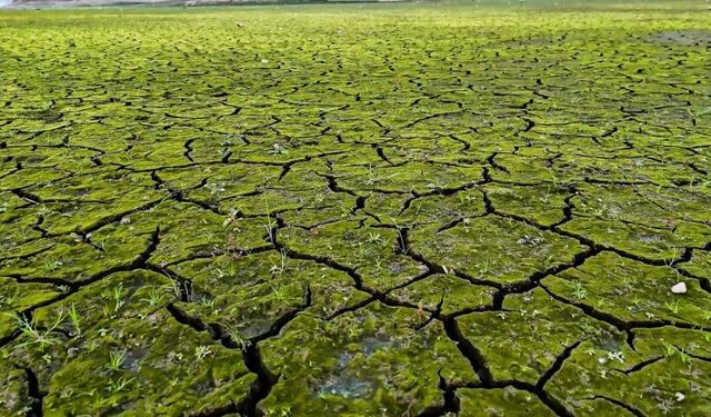 Mega kentte endişelendiren görüntü: Kuraklığın izleri havadan görüntülendi