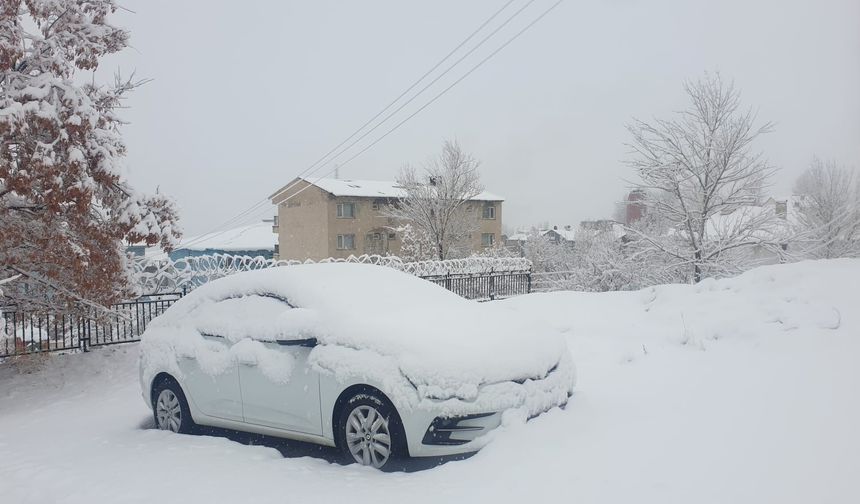 Başkale beyaza büründü: 11 yerleşim yeri yolu kapandı