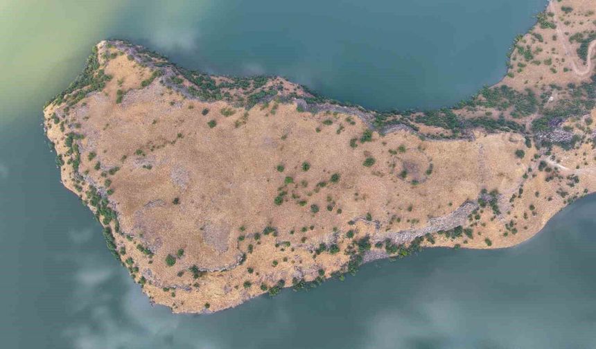 Muş'ta 120 bin metrekarelik Urartu kalesi gün yüzüne çıktı
