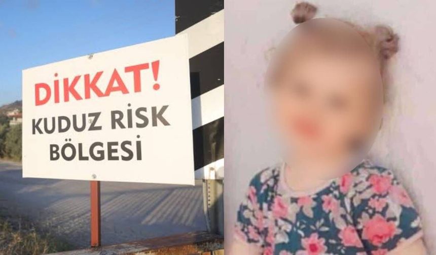Kuduz kedi tarafından ısırılan çocuk hayatını kaybetti