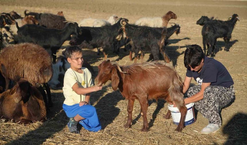 Köyde berivanlık yapıyor, pistte şampiyonluk peşinde
