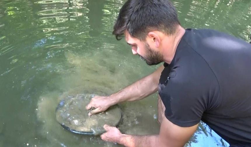 Dünyayı geziyor, derelerden günde 5 gram altın çıkarıyor