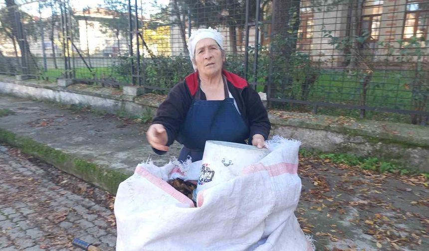 34 yıldır sonbaharda düşen yaprakları gübreye dönüştürüyor