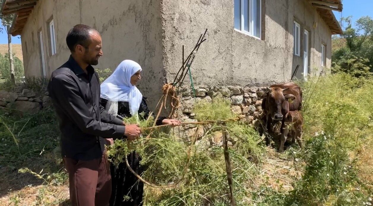 Bir ineğini kaybetti, dayanışmayla 12 büyükbaş hayvana kavuştu