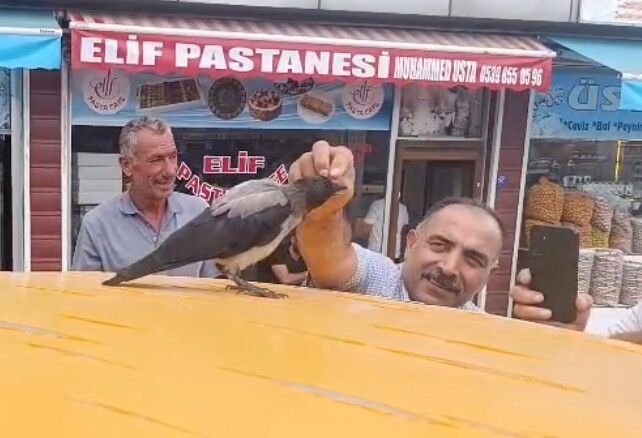 20260831Aw778084