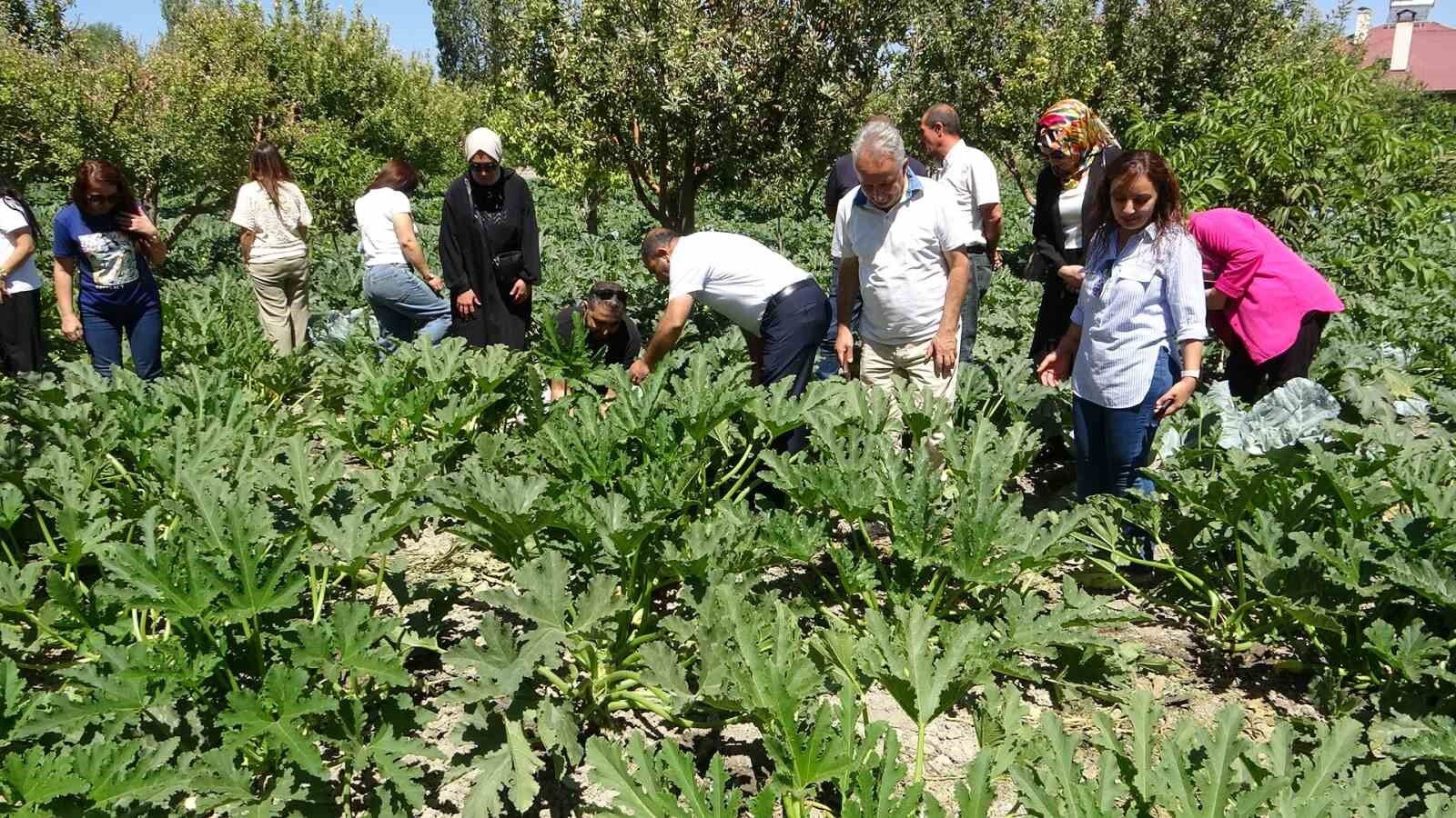 Modern basınçlı sulama sistemiyle hem işçilikten hem de verimden kazandı