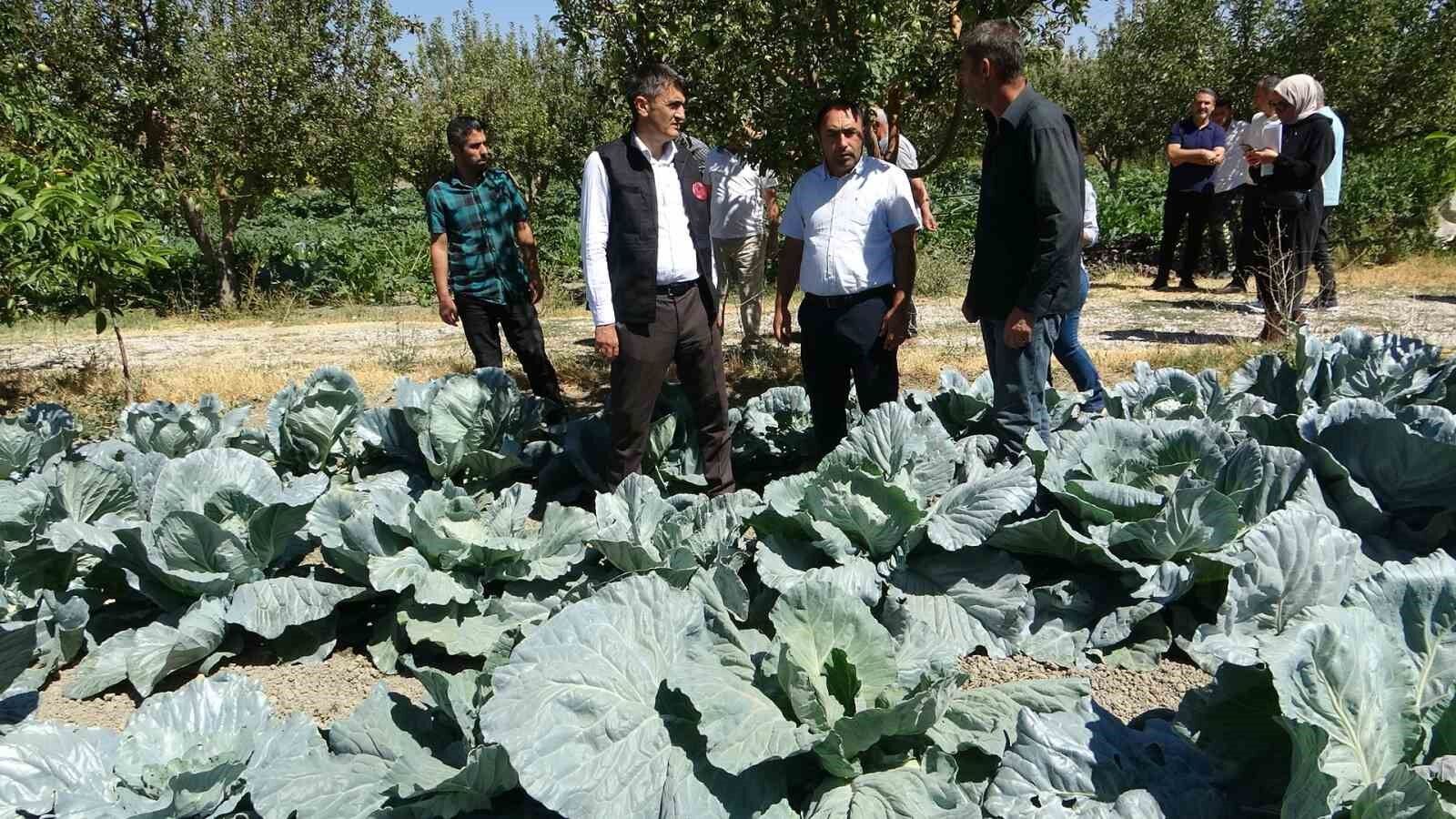 Modern basınçlı sulama sistemiyle hem işçilikten hem de verimden kazandı